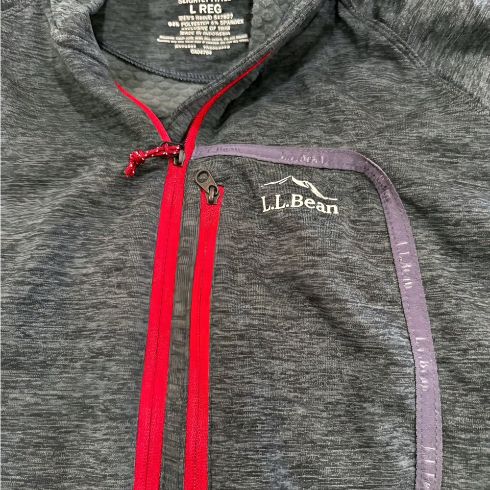 L.L.Bean Adventure Grid Fleece 1/4 Zip Men's Regular